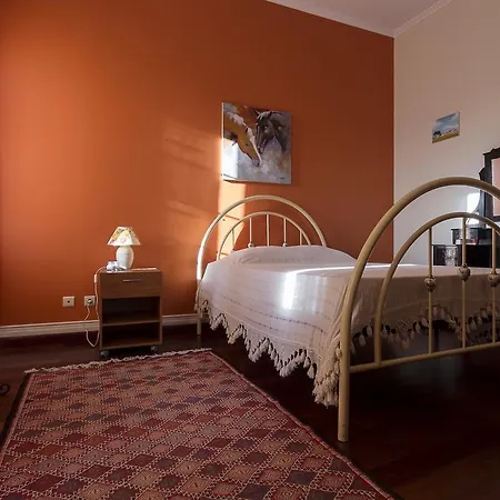 Casa De Sta Catarina Semesterbostad Ponta Delgada